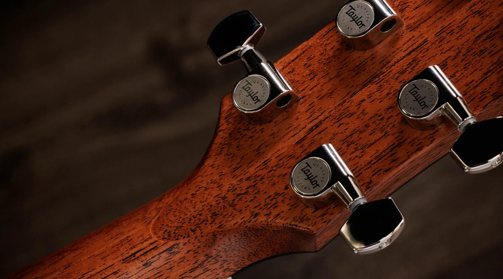 Taylor 517e Gold Label Grand Pacific Epicea Acajou Eb - Blacktop - Folk guitar - Variation 7