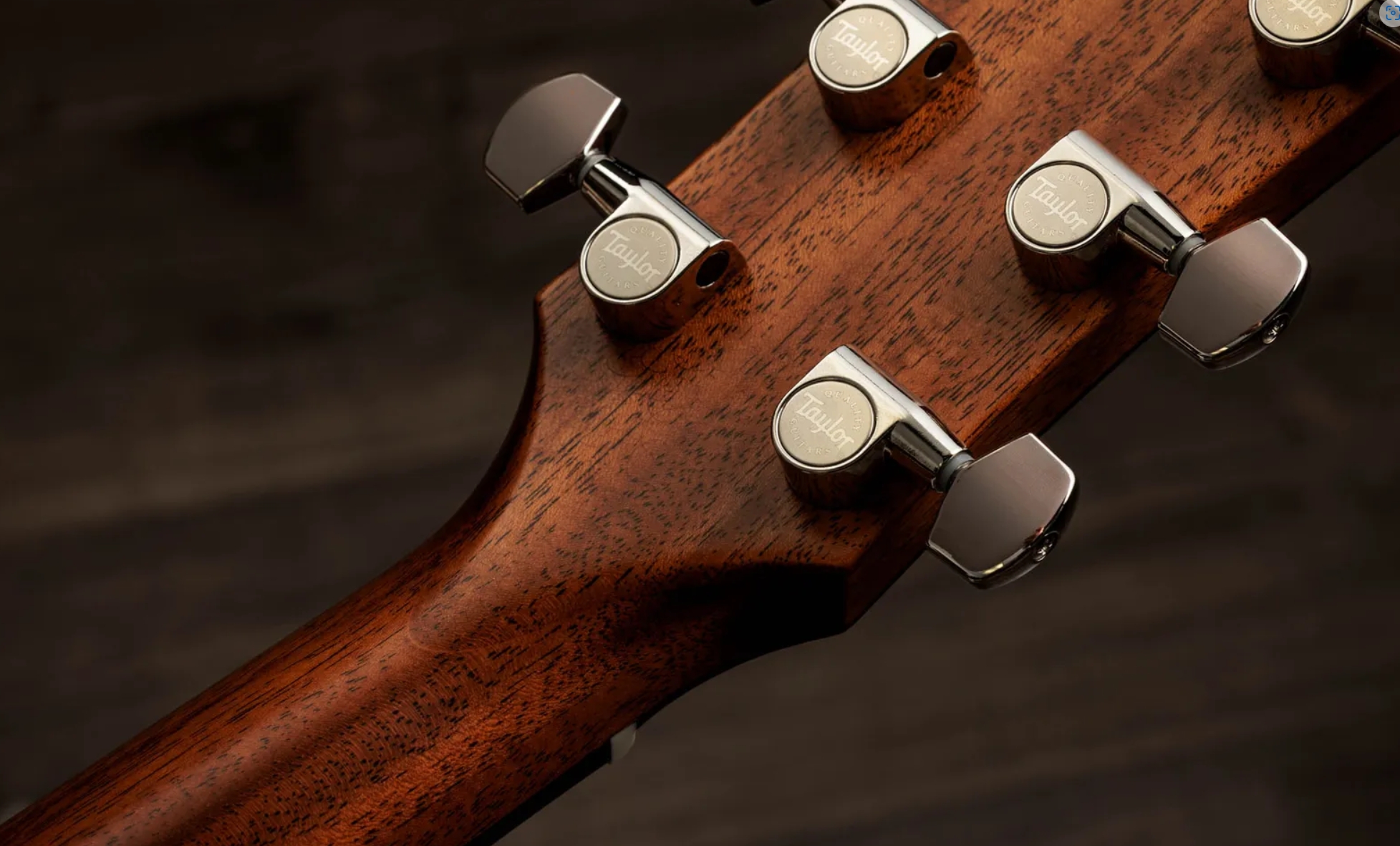 Taylor 517e Sb Gold Label Grand Pacific Epicea Acajou Eb - Sunburst W/ Cream Pickguard - Folk guitar - Variation 9