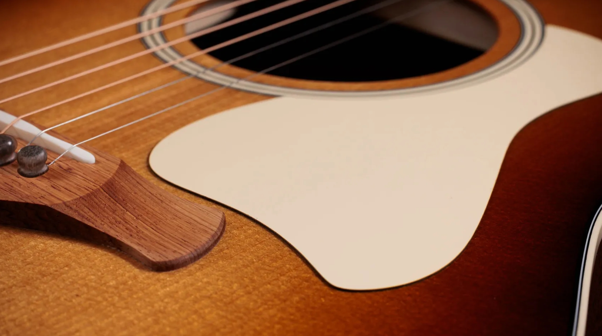 Taylor 517e Sb Gold Label Grand Pacific Epicea Acajou Eb - Sunburst W/ Cream Pickguard - Folk guitar - Variation 3