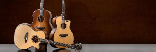 Electro acoustic guitar Taylor Builder's Edition 717e - natural