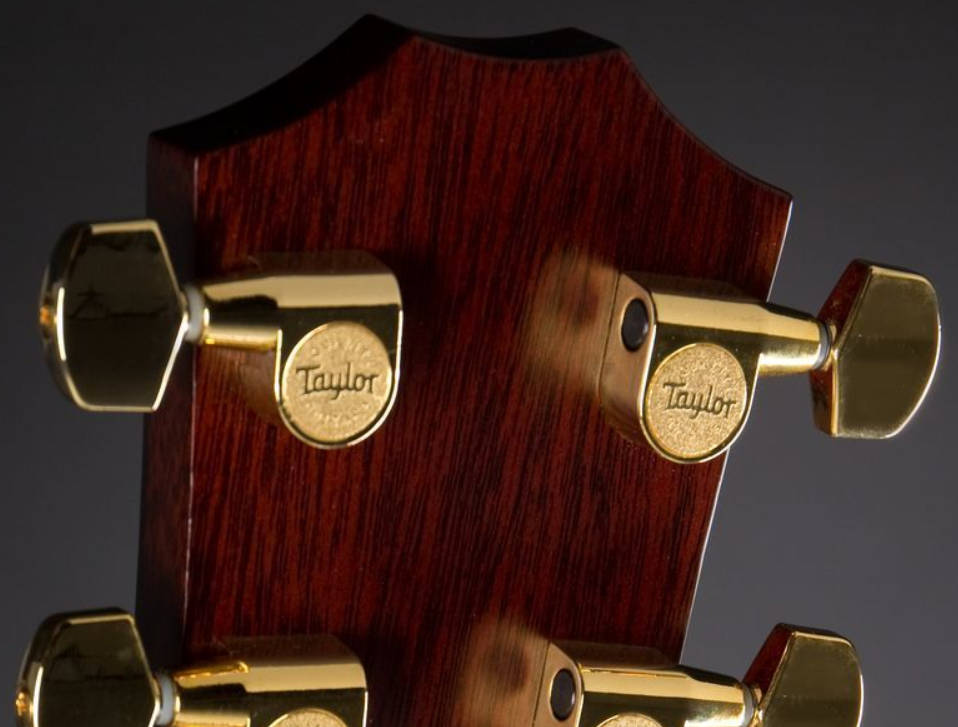 Taylor 814ce-ltd 2020 V-class Grand Auditorium Cw  Epicea Cocobolo Eb Es2 - Natural - Electro acoustic guitar - Variation 5