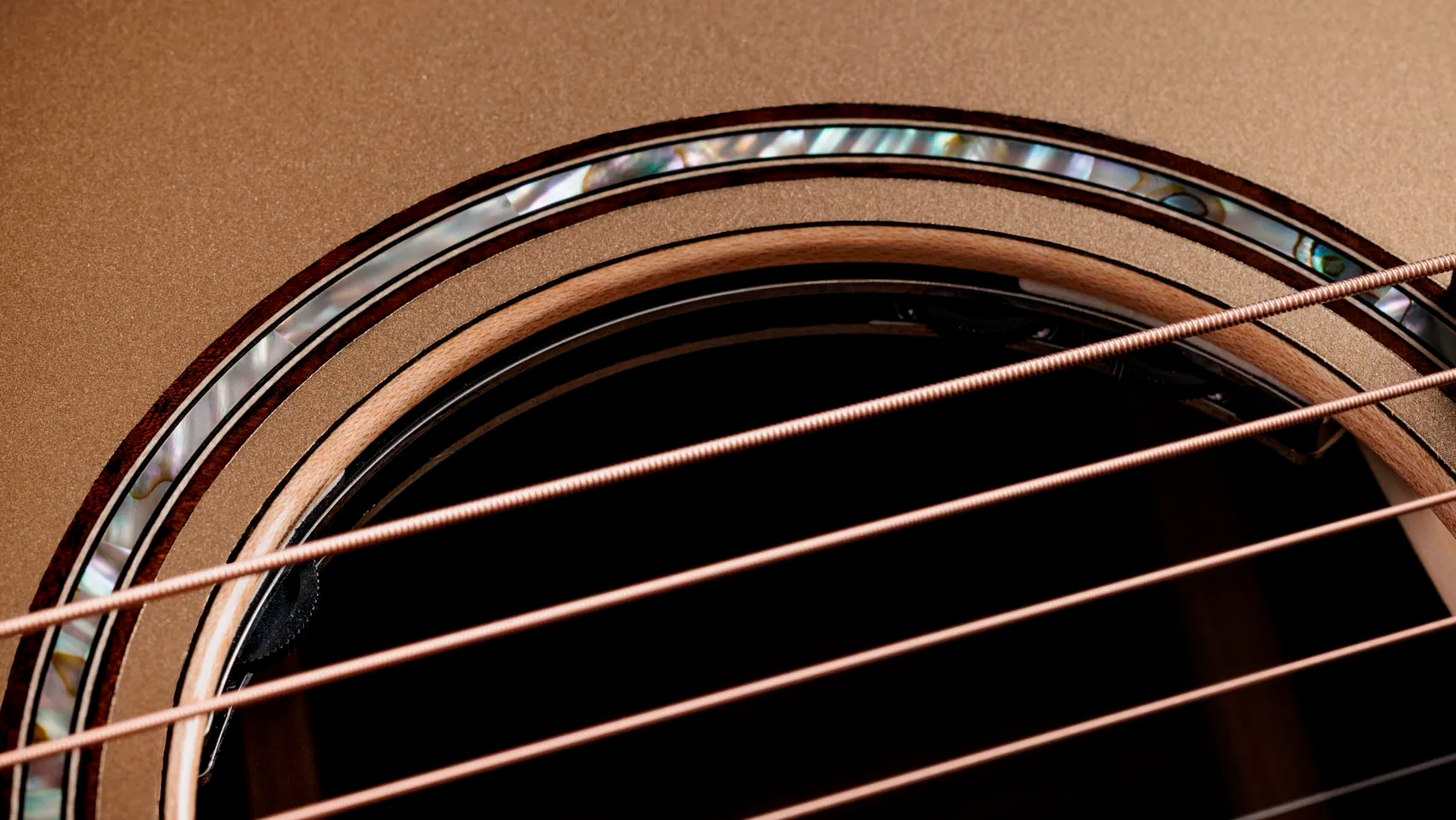 Taylor 814ce Ltd Casablanca Beige Top - Casablanca Beige Metallic - Folk guitar - Variation 5