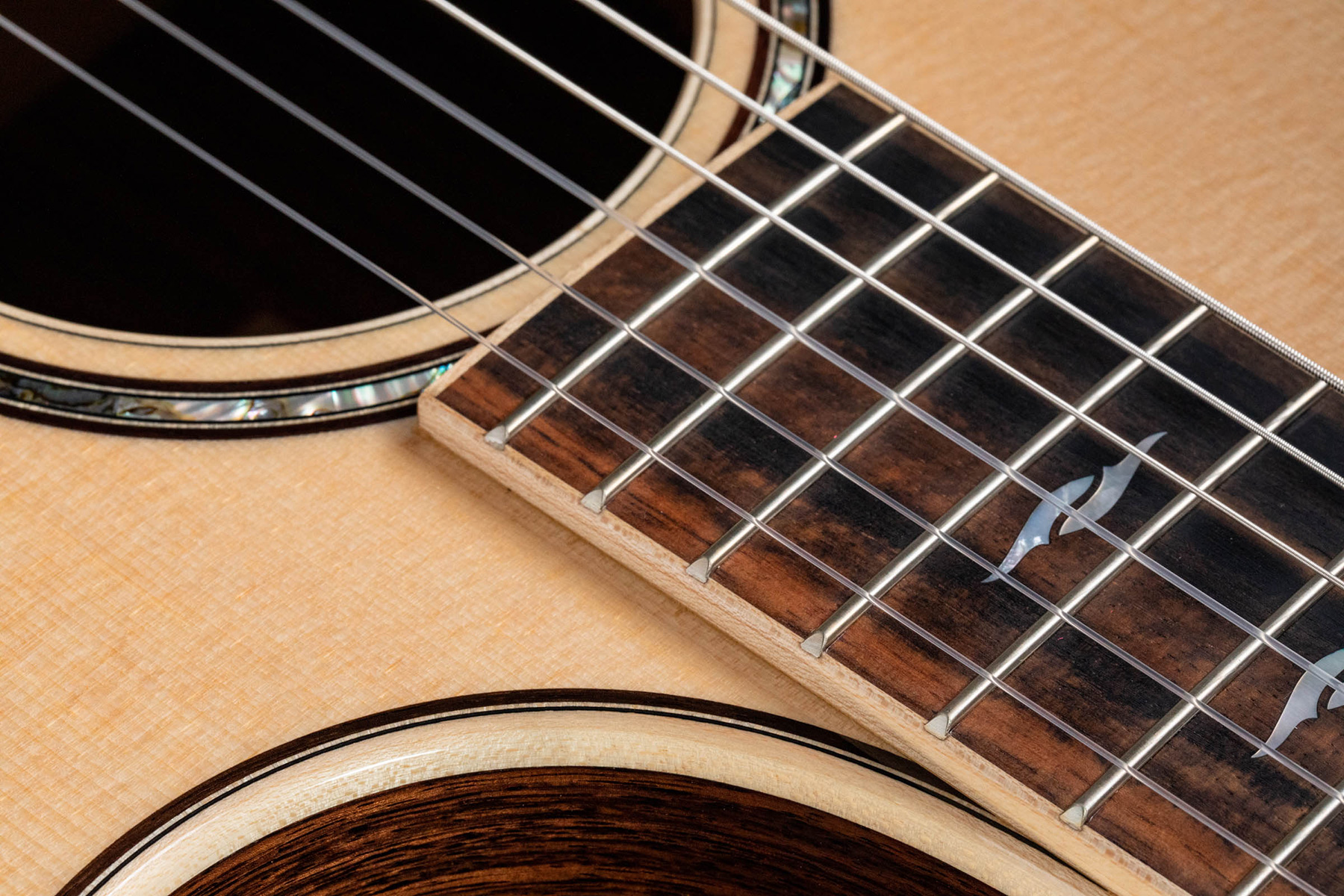 Taylor Guitare Classique Format 4/4 - Electro-acoustique - Classical guitar 4/4 size - Variation 3