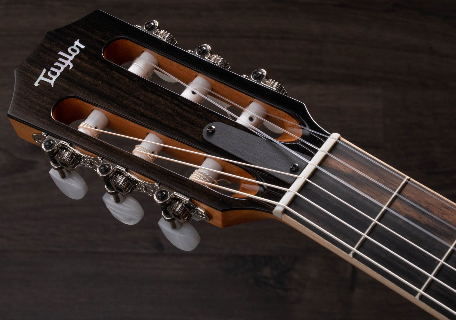 Taylor Guitare Classique Format 4/4 - Electro-acoustique - Classical guitar 4/4 size - Variation 5