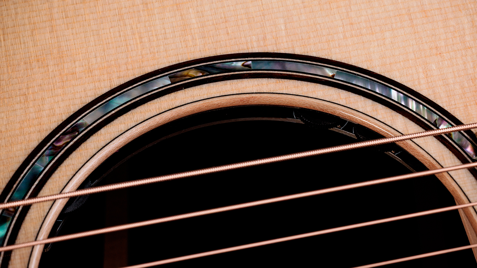 Taylor 814ce Next Gen. Grand Auditorium Cw Epicea Palissandre Eb Claria - Natural - Folk guitar - Variation 5