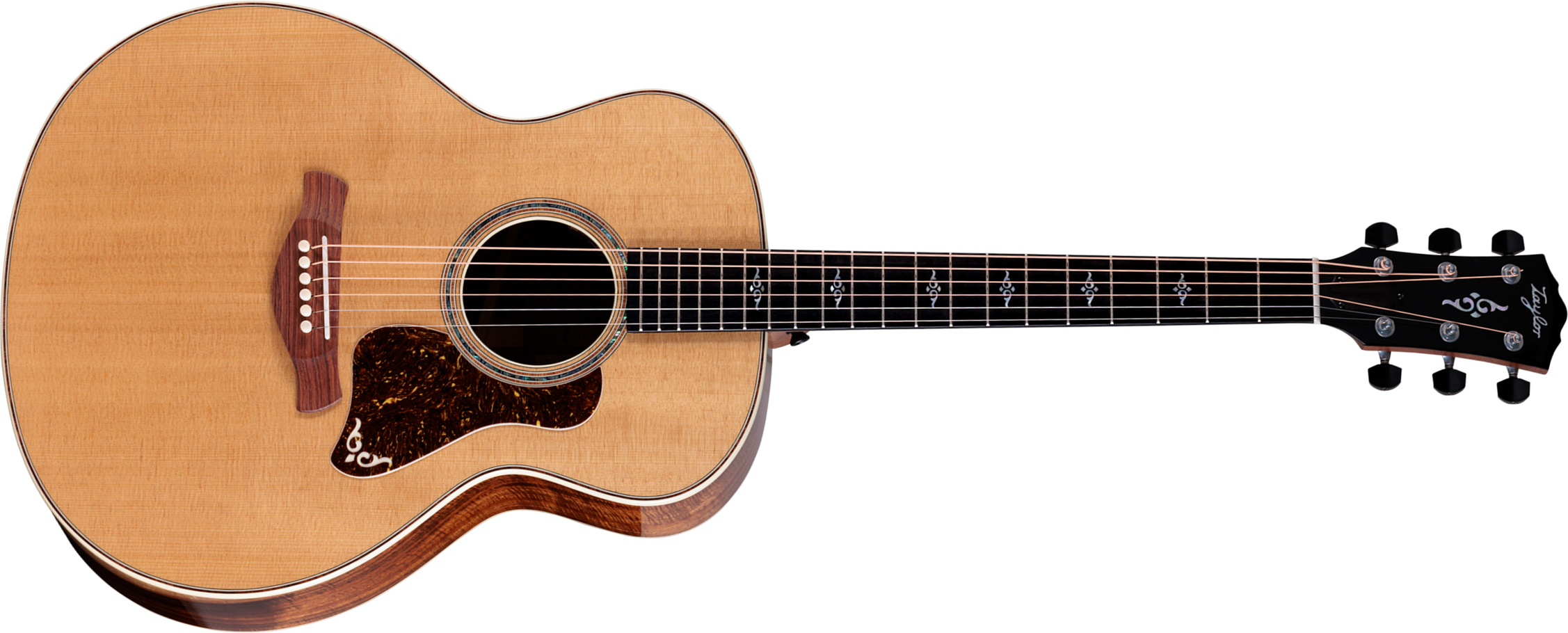 Taylor 814e Koa Gold Label Super Auditorium Cw Epicea Koa Eb Lr Baggs - Natural - Folk guitar - Main picture