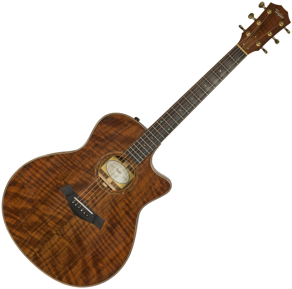 Acoustic guitar & electro Taylor Custom GS-e #B9675 - Natural