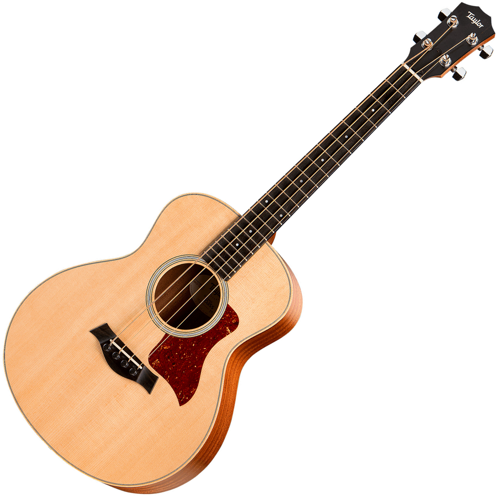 taylor gs mini e