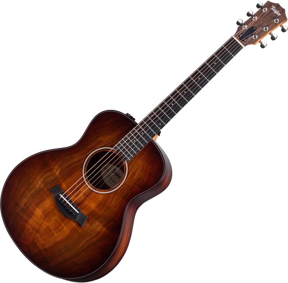 taylor gs mini e plus