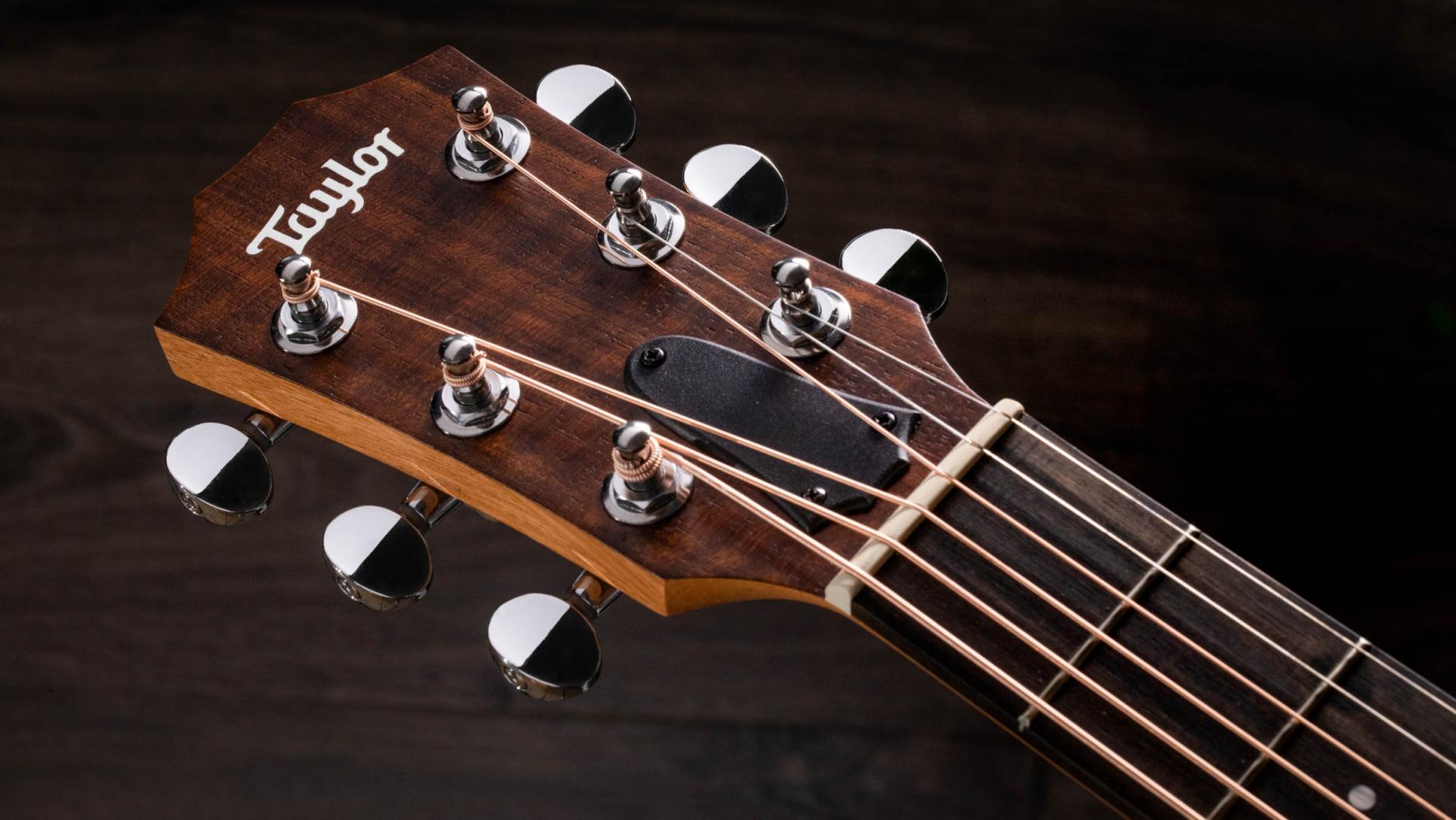 Taylor Gs Mini-e Special Edition Parlor Shsc Epicea Sapele Eb Es-b - Olive - Folk guitar - Variation 4
