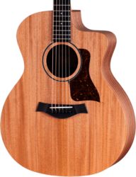 Folk guitar Taylor 24ce - Natural Matte