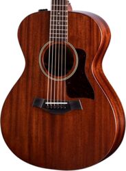 Folk guitar Taylor American Dream AD22e - Natural