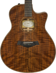 Folk guitar Taylor Custom GS-e #B9675 - Natural