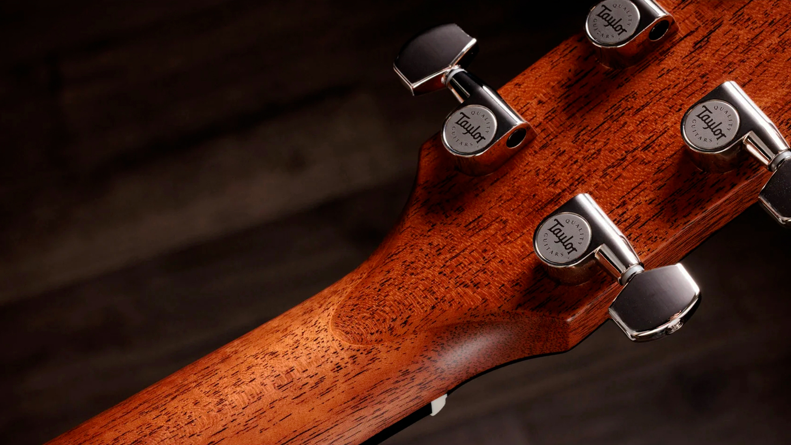 Taylor Trey Hensley 510e Special Ed. Gold Label Dreadnought Epicea Acajou Eb - Antique Blond - Folk guitar - Variation 9
