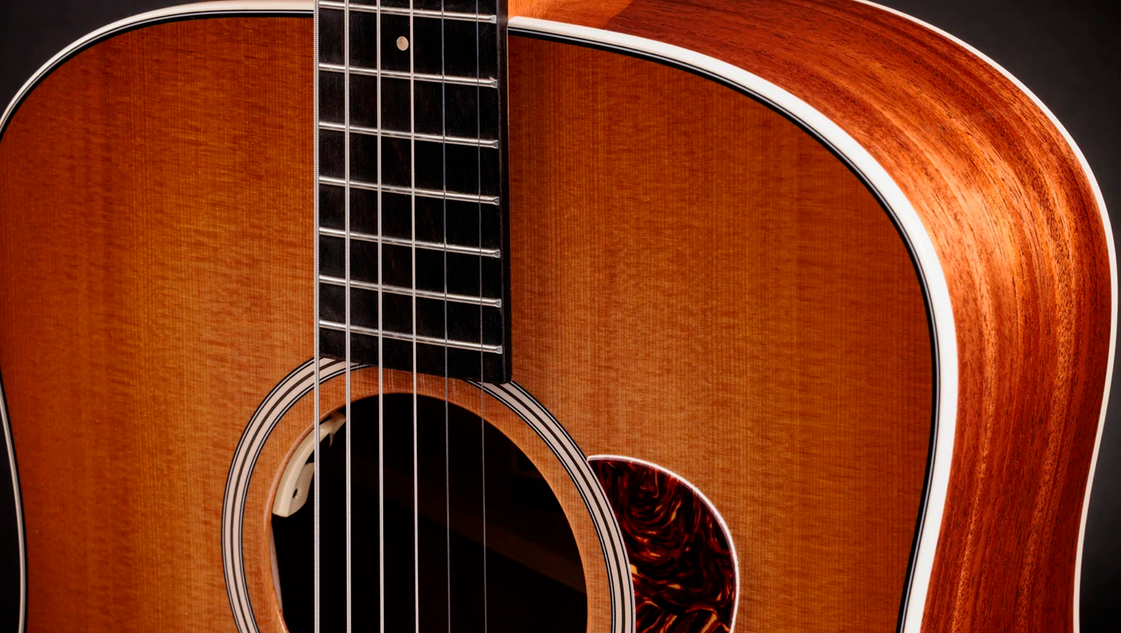 Taylor Trey Hensley 510e Special Ed. Gold Label Dreadnought Epicea Acajou Eb - Antique Blond - Folk guitar - Variation 2