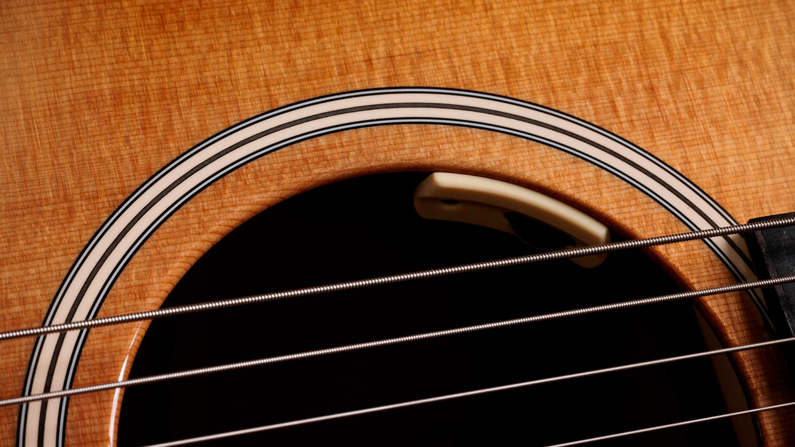 Taylor Trey Hensley 510e Special Ed. Gold Label Dreadnought Epicea Acajou Eb - Antique Blond - Folk guitar - Variation 4