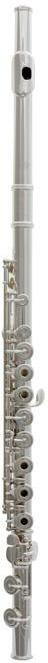 Trevor James Privilege 31pfrslrx - Flute of study - Main picture