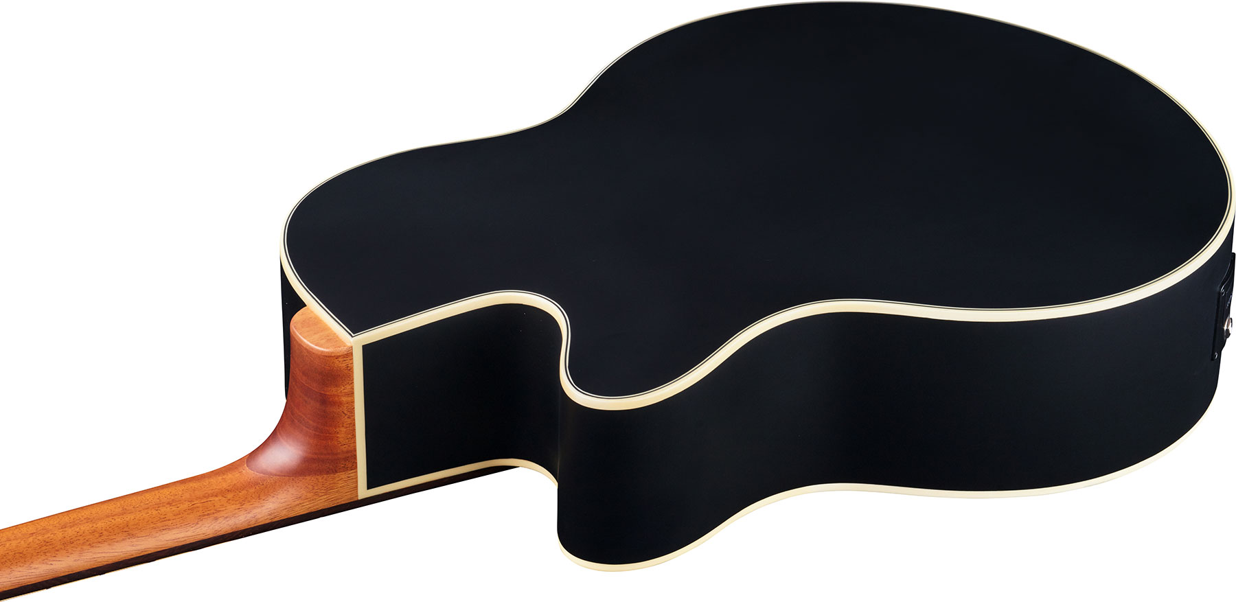 Warwick Basse Acoustique - Electro-acoustique - Acoustic bass - Variation 3