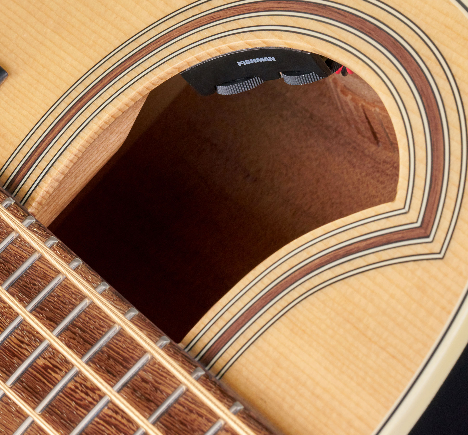 Warwick Basse Acoustique - Electro-acoustique - Acoustic bass - Variation 4