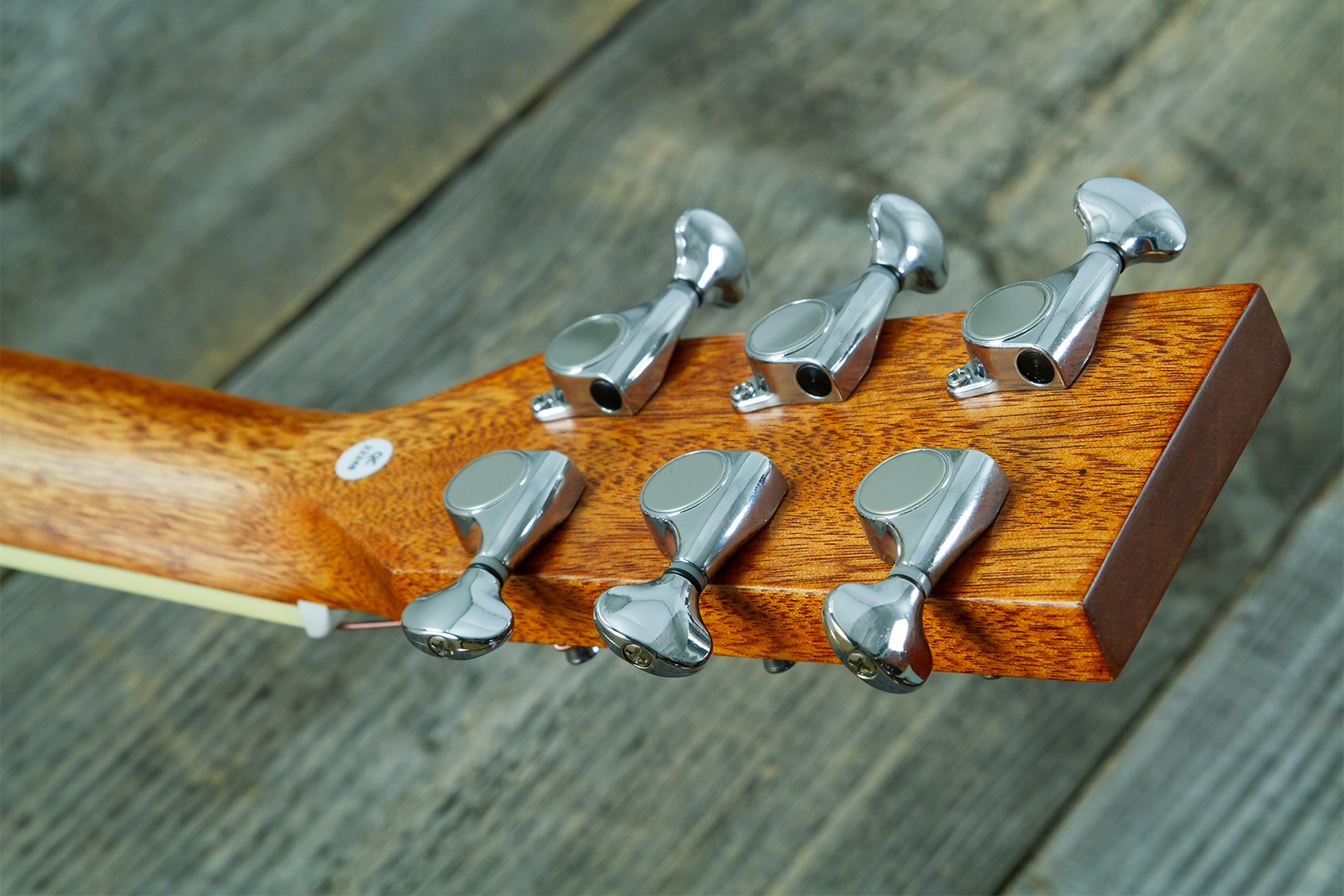 Wesland Bg350-nat Travel Shsc Tout Acajou Tec - Natural - Folk guitar - Variation 8