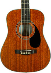 Folk guitar Wesland BG350-NAT - Natural
