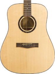 Folk guitar Wesland DR1-M - Natural