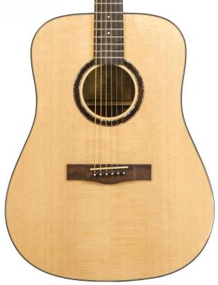 Acoustic guitar & electro Wesland DR1-W - Natural