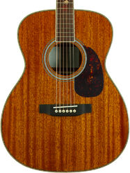 Folk guitar Wesland OM750-NAT - natural