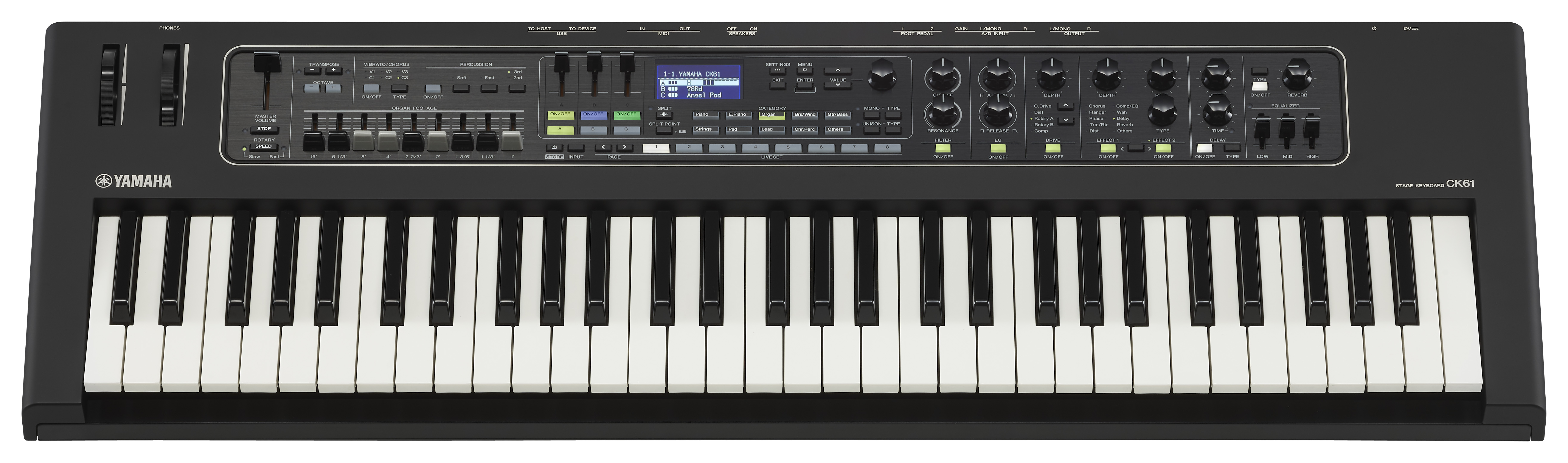 Yamaha Ck 61 - Stage keyboard - Variation 1