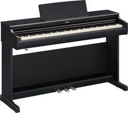 YDP-166 B