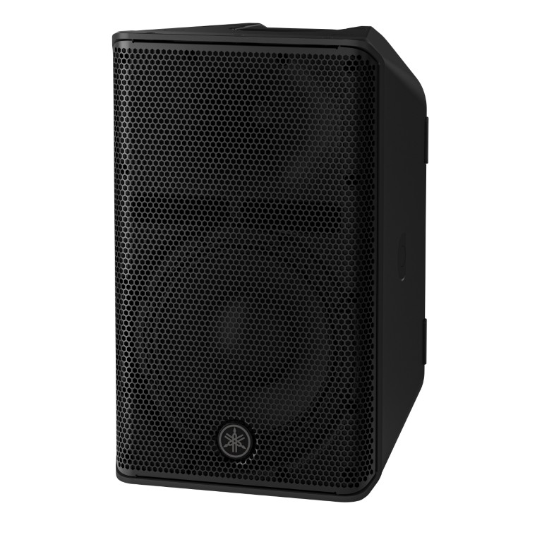 Yamaha Cxr10 Mk3 - Passive Fullrangespeaker - Variation 2