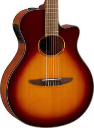 NTX1 - brown sunburst