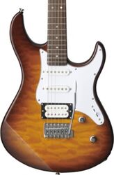 Pacifica 212VQM - tobacco brown sunburst