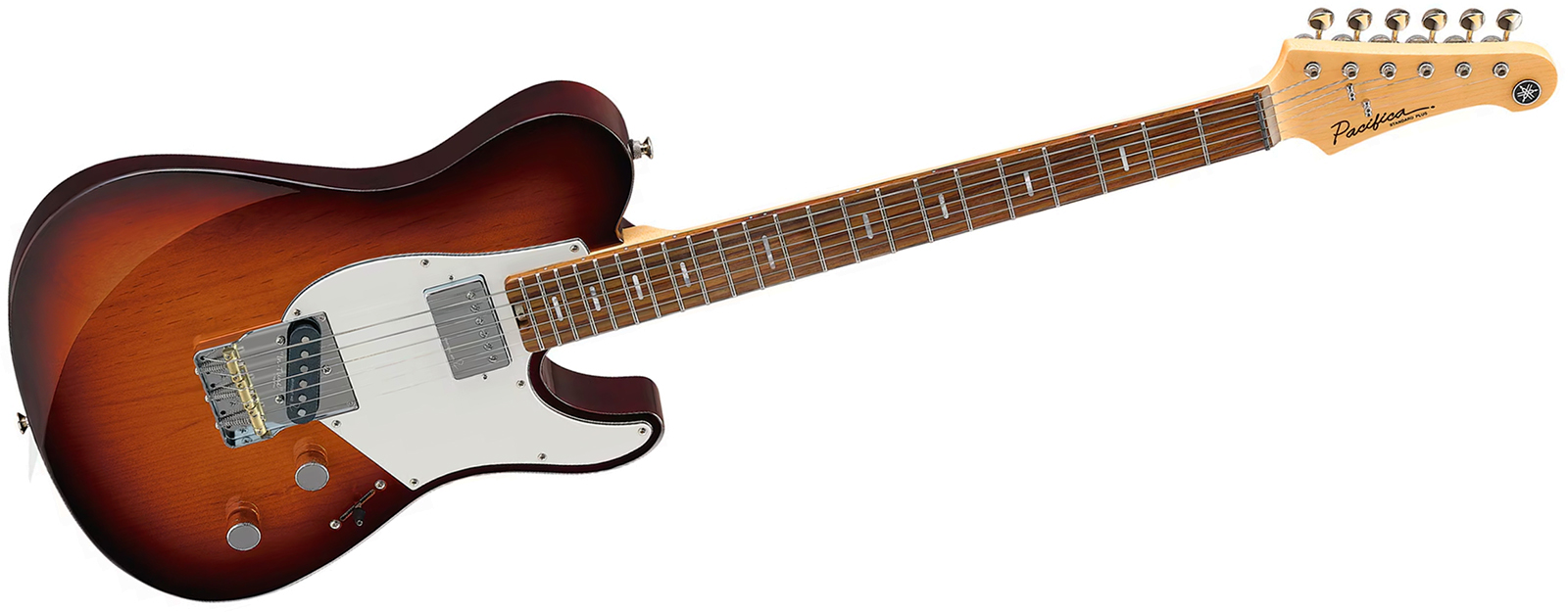 Yamaha Pacifica Sc Standard Plus Pacs+11s Hs Ht Rw - Desert Burst - Tel shape electric guitar - Variation 1