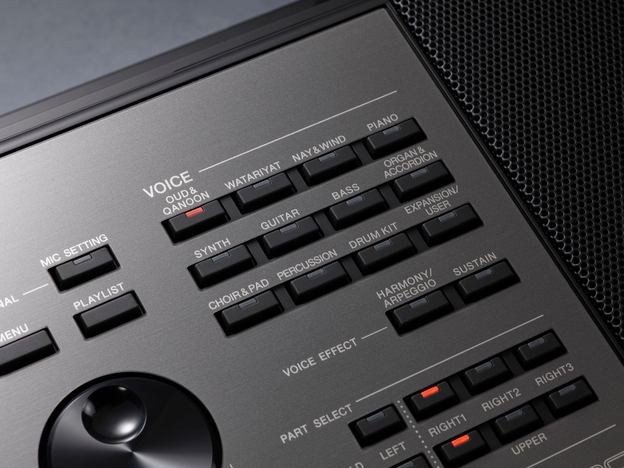 Yamaha Psr-a5000 - Entertainer Keyboard - Variation 6