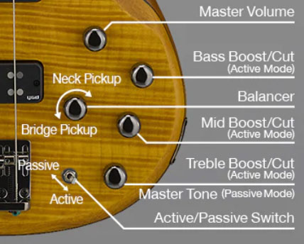 Yamaha Trbx604fm Active Rw - Natural Satin - Solid body electric bass - Variation 3