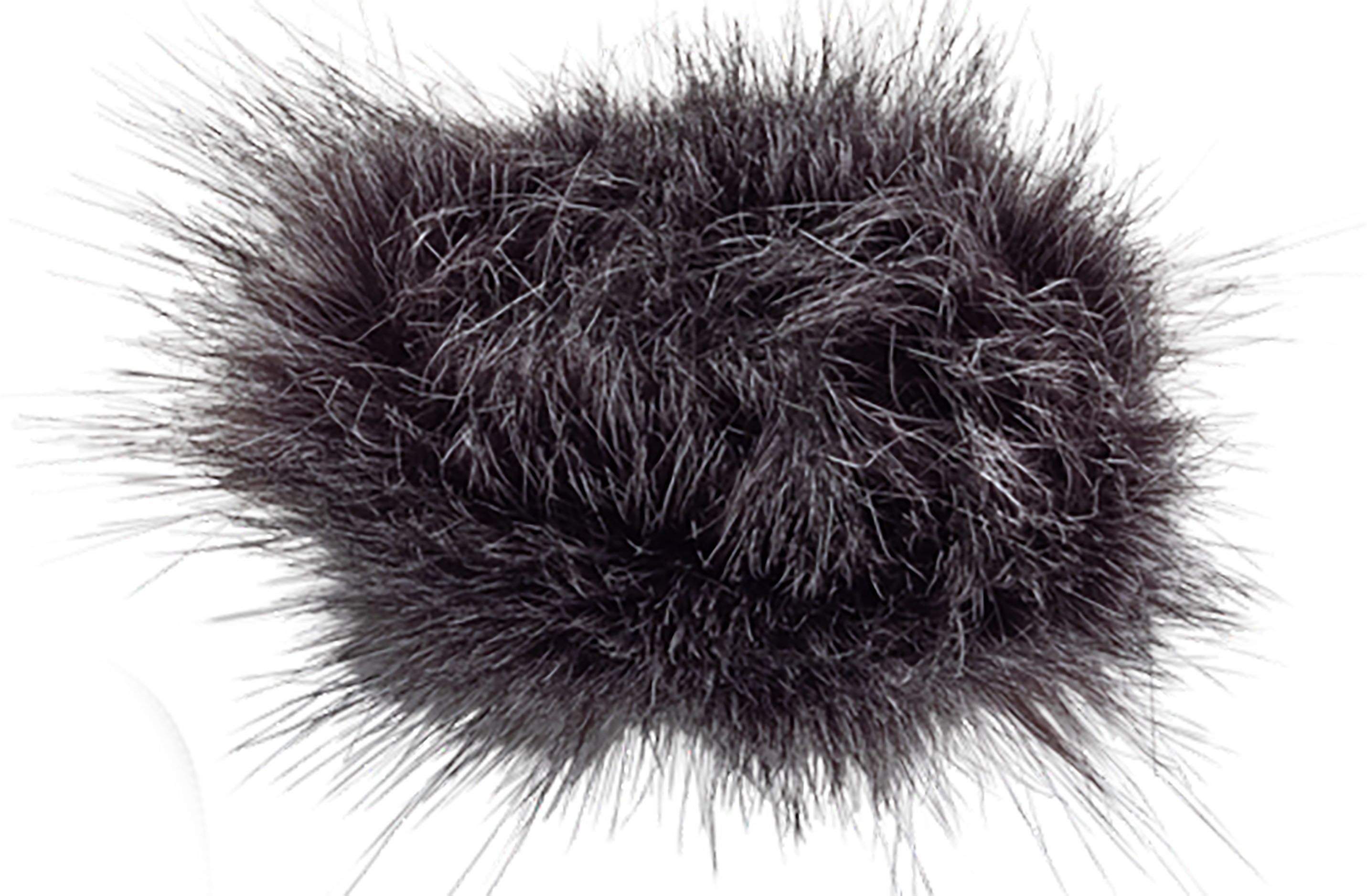 Zoom Wsh-1e - Bonnette En Mousse - Microphone windscreen & windjammer - Main picture