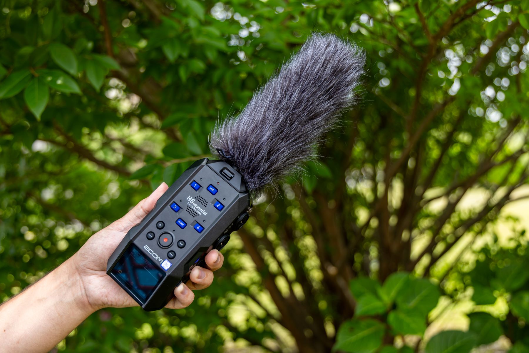 Zoom Ssh-6e - Microphone Pour Zoom H6e - Mic transducer - Variation 9